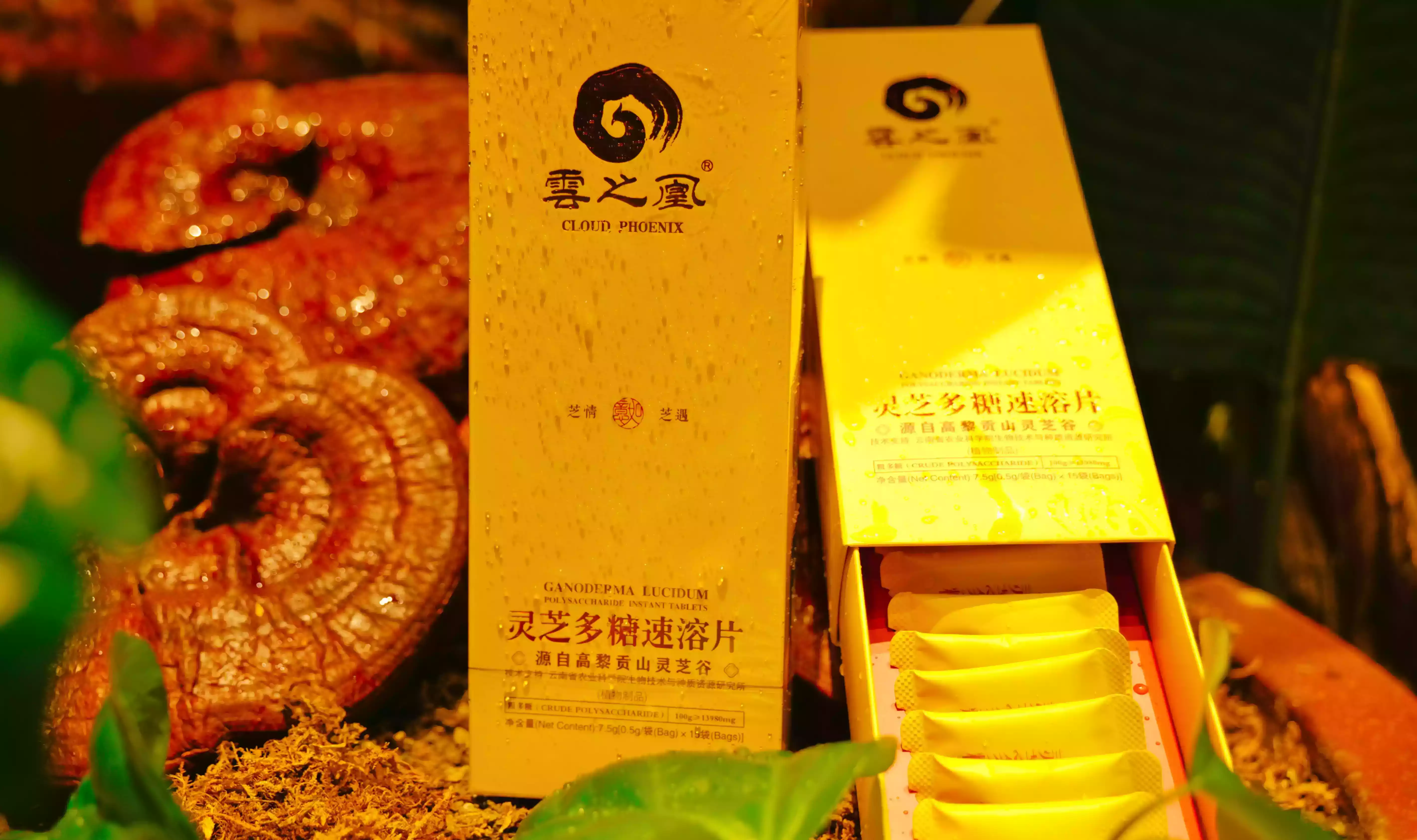 灵芝多糖速溶片